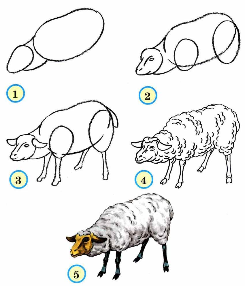 рисование