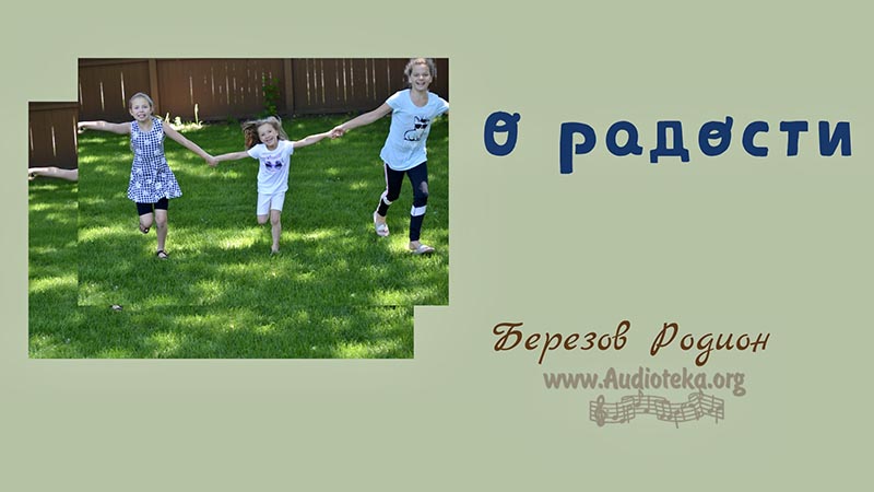 Обложка: О радости – Родион Березов