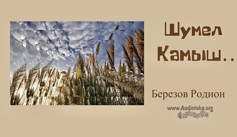 Обложка: Шумел камыш – Родион Березов