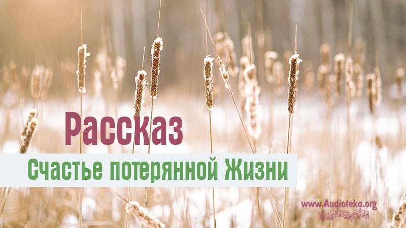 Обложка: Рассказ – Счастье потерянной жизни