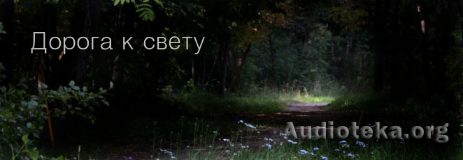 Обложка: Дорога к свету