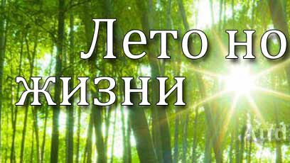 Обложка: Рассказ “Лето новой жизни”