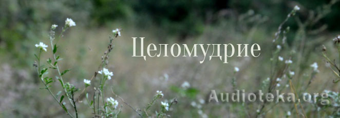 Обложка: Целомудрие
