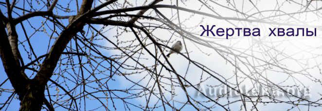 Обложка: Жертва хвалы. Сокровища мистера Паркера