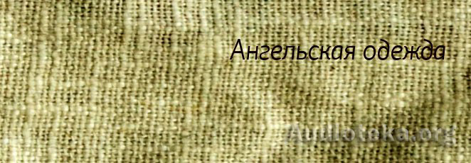 Обложка: Ангельская одежда
