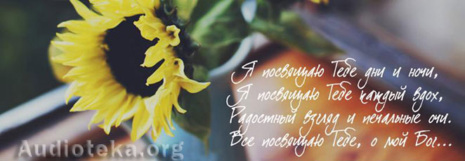 Обложка: Вестники спасения