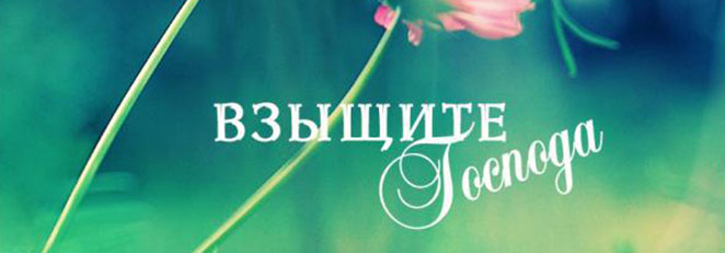 Обложка: Трио Рябухи