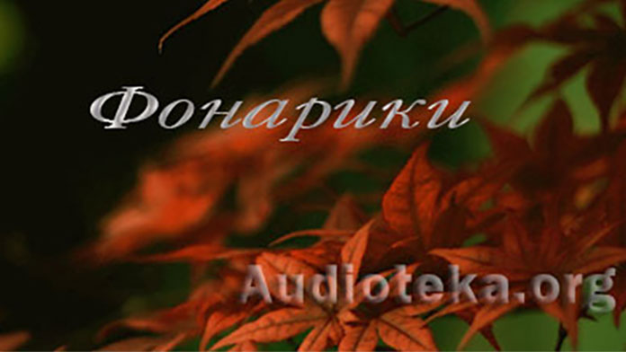 Обложка: Фонарики – Рассказы