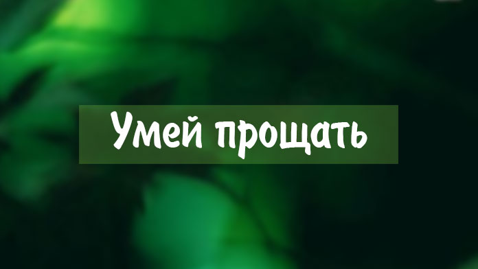Обложка: Умей прощать – рассказы
