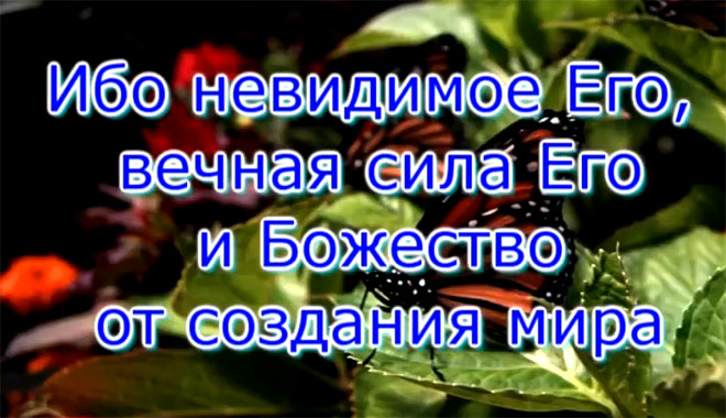 Обложка: Бог Чудес
