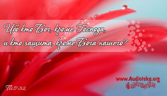 Обложка: Ты сердце новое – Альбом