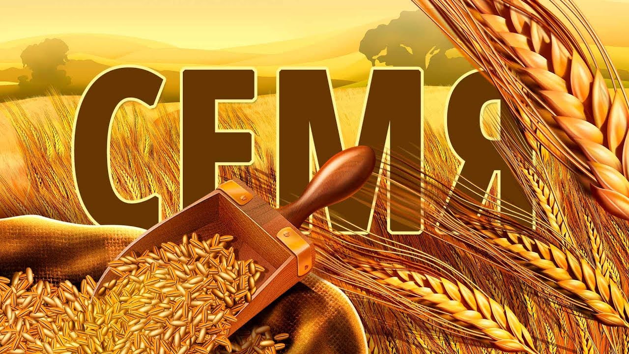 Обложка: Семя – Виктор Левашов