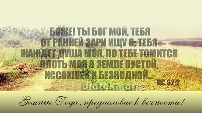 Обложка: Земные года, предисловие к вечности