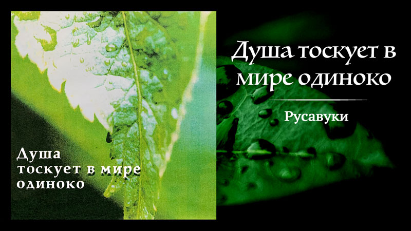 Обложка: Русавуки – Душа тоскует в мире одиноко