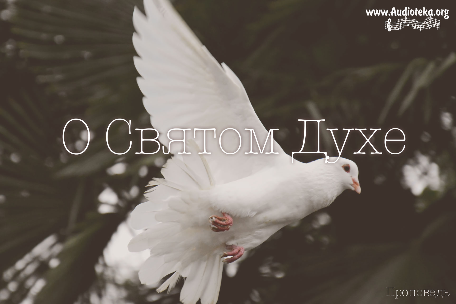 Обложка: Проповедь о Святом Духе