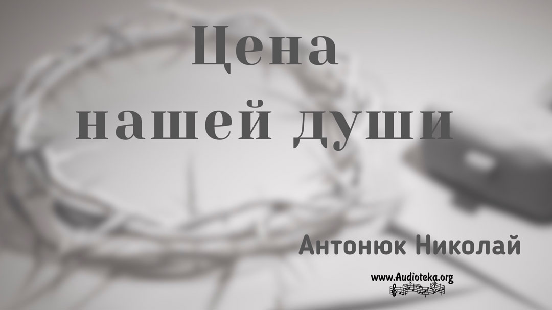 Обложка: Цена нашей души – Николай Антонюк