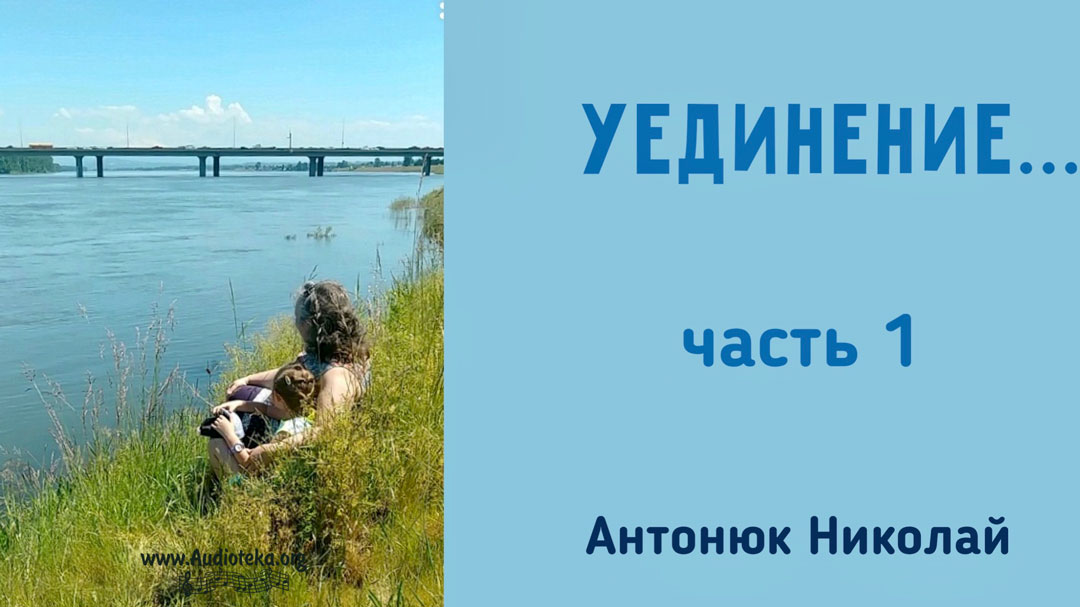 Обложка: Уединение – Николай Антонюк