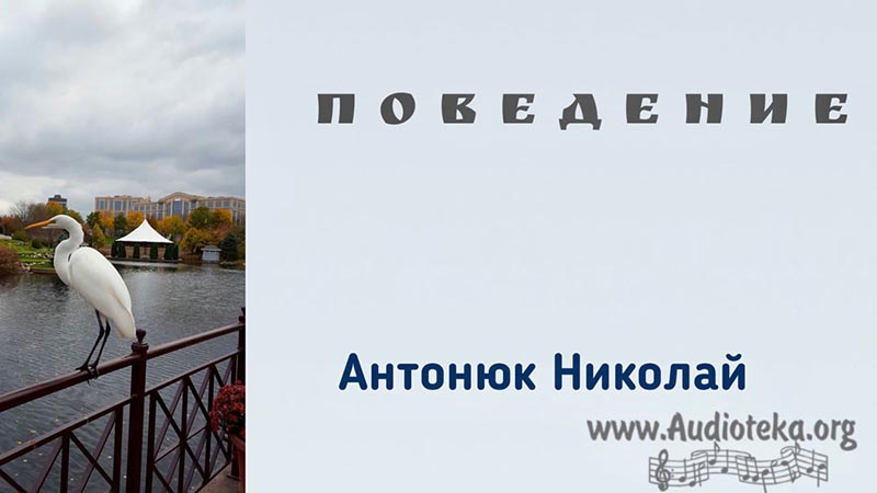 Обложка: Повреждение – Николай Антонюк