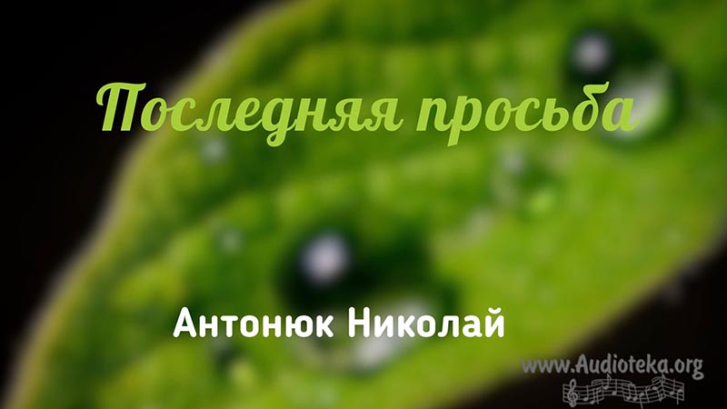 Обложка: Последняя просьба – Николай Антонюк
