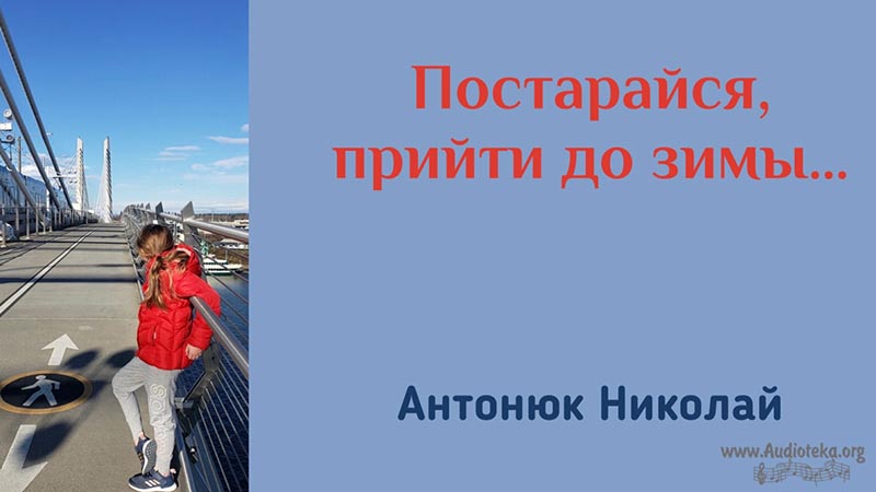 Обложка: Постарайся, прийти до зимы – Николай Антонюк