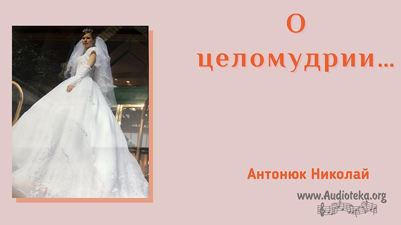 Обложка: О целомудрии – Николай Антонюк