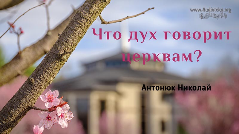Обложка: Что Дух говорит церквам? – Николай Антонюк