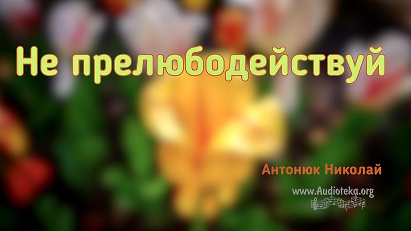 Обложка: Не прелюбодействуй – Николай Антонюк