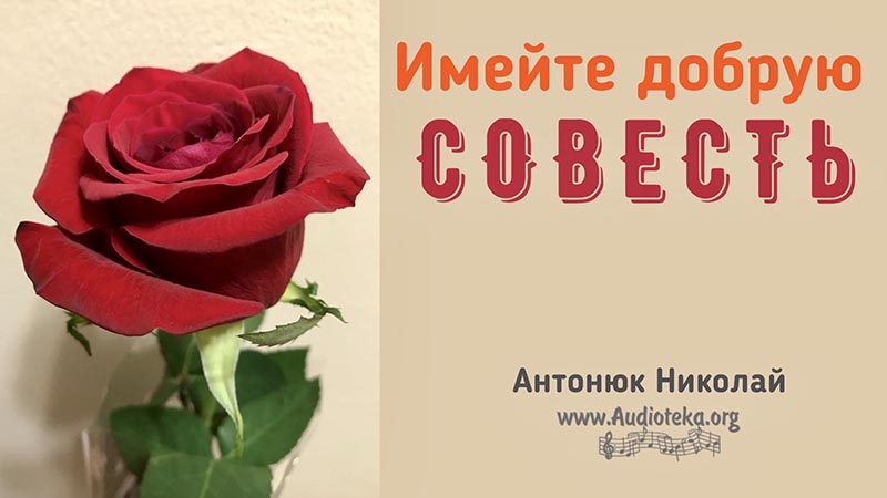 Обложка: Имейте добрую совесть – Николай Антонюк