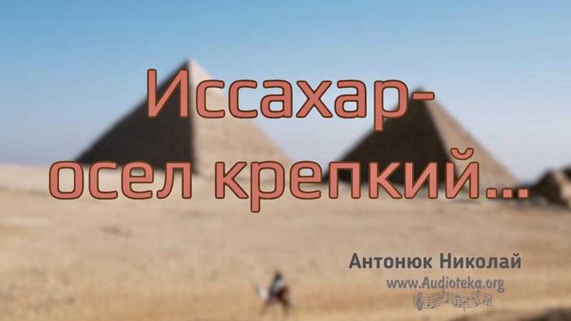 Обложка: “Иссахар – осёл крепкий” – Николай Антонюк