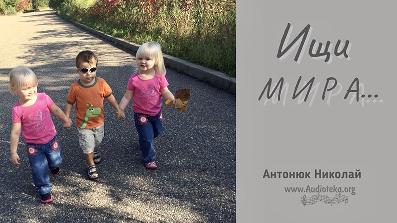 Обложка: Ищи мира – Николай Антонюк