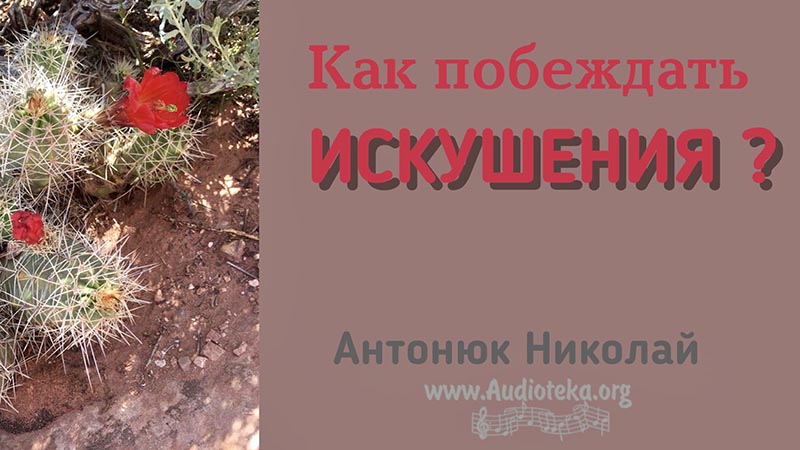 Обложка: Как побеждать искушения? – Николай Антонюк