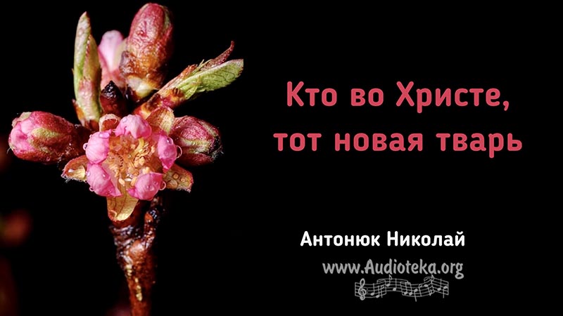 Обложка: Кто во Христе, тот новая тварь – Николай Антонюк