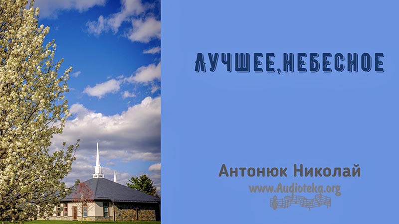 Обложка: Лучшее, небесное – Николай Антонюк