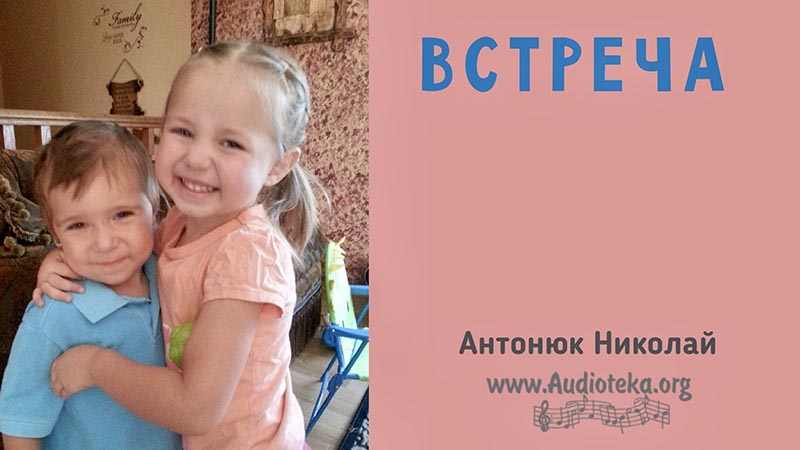 Обложка: Встреча – Николай Антонюк