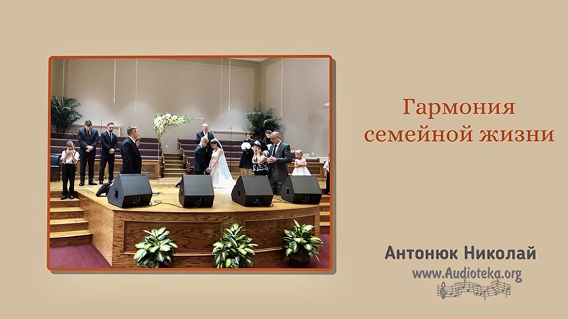 Обложка: Гармония семейной жизни – Николай Антонюк