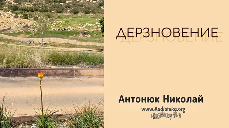 Обложка: Дерзновение – Николай Антонюк