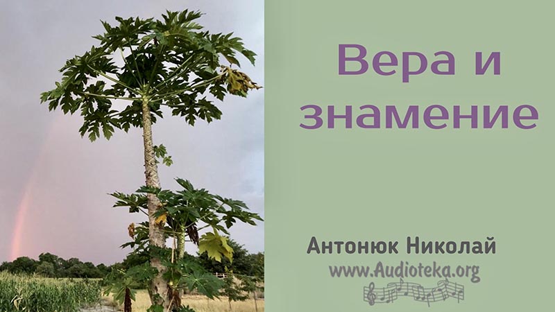 Обложка: Вера и знамение – Николай Антонюк