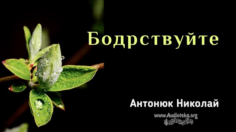 Обложка: Бодрствуйте – Николай Антонюк