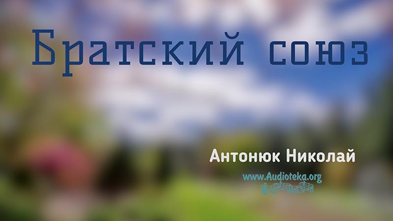 Обложка: Братский союз – Николай Антонюк