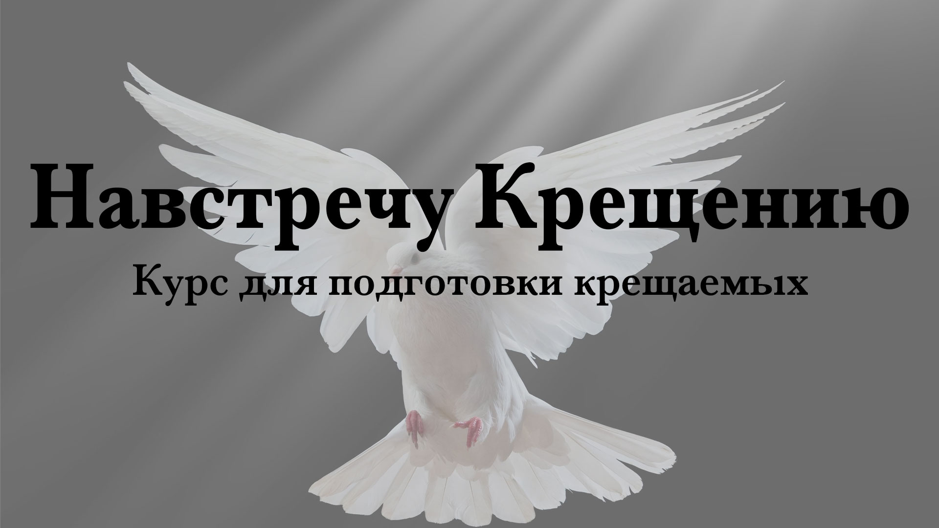 Обложка: Навстречу Крещению – Виталий Бойко