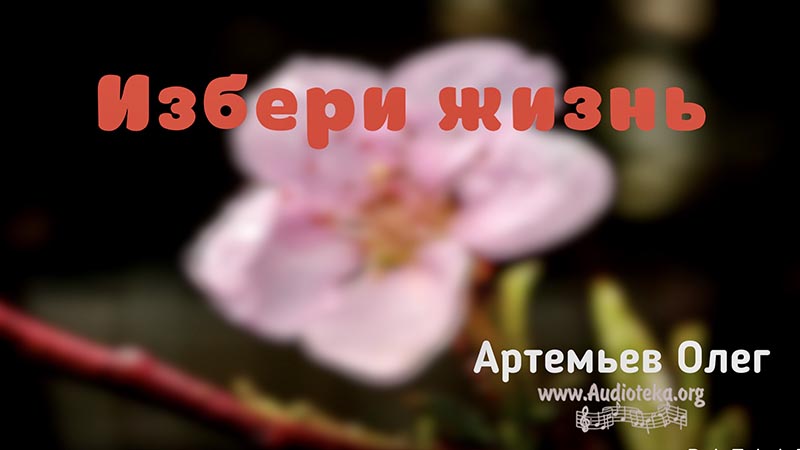 Обложка: Избери жизнь – Олег Артемьев