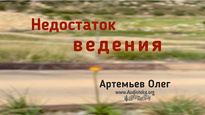 Обложка: Недостаток ведения – Олег Артемьев