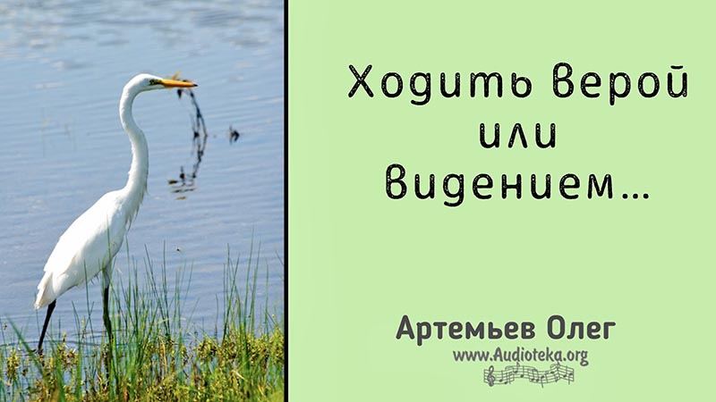 Обложка: Ходить верой или видением – Олег Артемьев