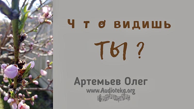 Обложка: Что видишь ты? – Олег Артемьев