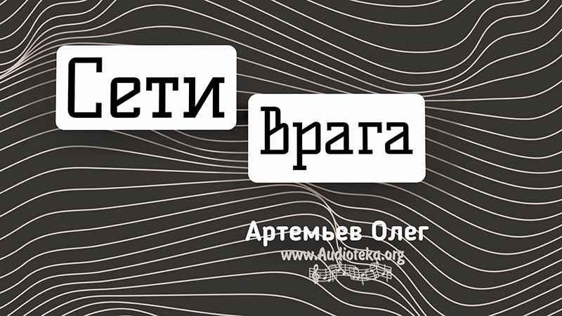 Обложка: Сети врага – Олег Артемьев