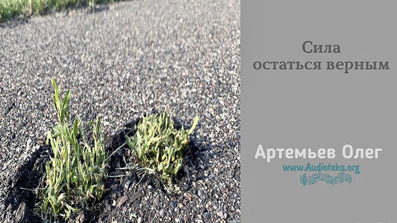 Обложка: Сила остаться верным – Олег Артемьев