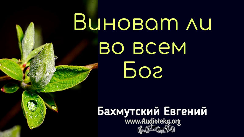 Обложка: Виноват ли во всём Бог – Евгений Бахмутский