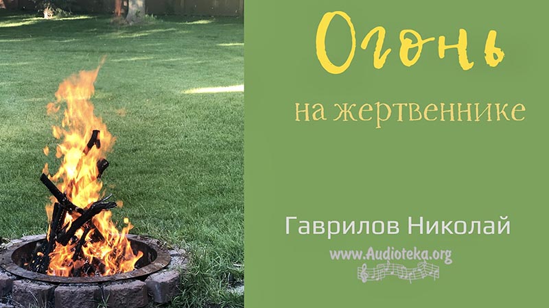 Обложка: Огонь на жертвеннике – Гаврилов Николай