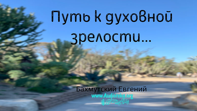Обложка: Путь к духовной зрелости (1) – Евгений Бахмутский