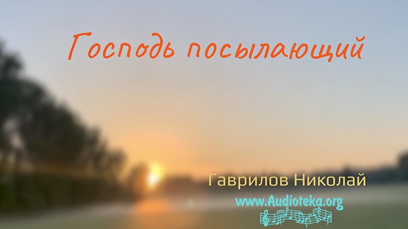 Обложка: Господь посылающий – Гаврилов Николай